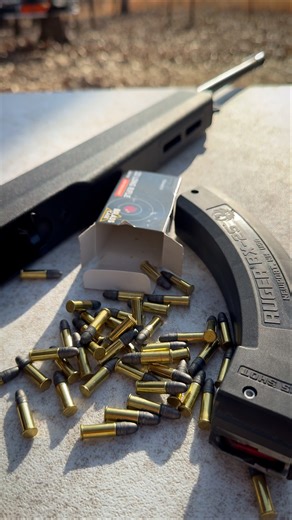 The Classic Ruger 10/22