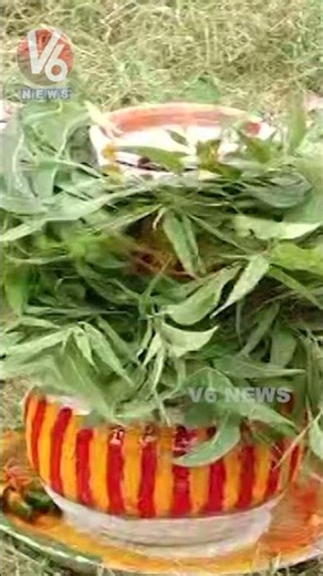 గోల్కొండ కోటలో అమ్మవారికి బోనం తయారీ | Golconda Bonalu 2026 | V6 News