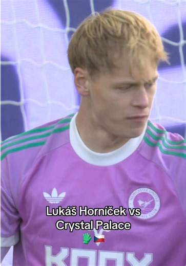 Lukáš Horníček clean sheet vs Crystal Palace – Newcastle highlights