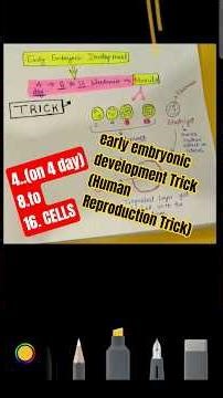 early embryonic development Trick (Human Reproduction Trick) #doctor #medicalstudent #mbbs #medical