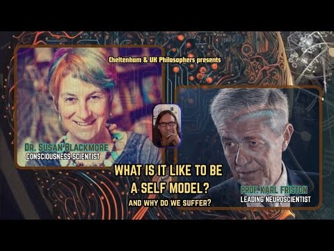 Prof Karl Friston and Dr Susan Blackmore: Why do models suffer?