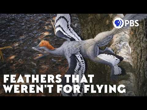 The Terrifying Reason Flightless Dinosaurs Grew Feathers