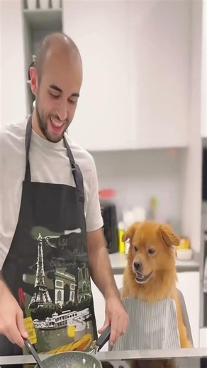 Eat. Play. Repeat. #pet #funny #dog #foryou #asmr