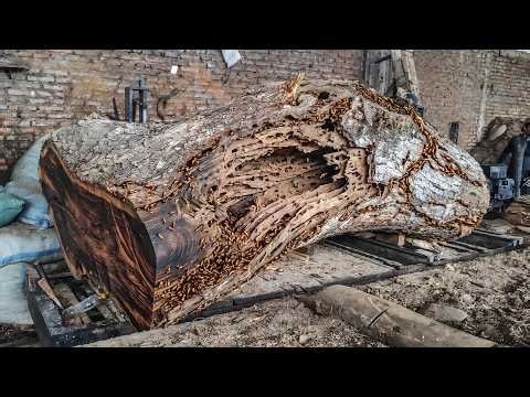 MASSIVE LOG, PERFECT CUTS! Trembesi Milling at Extreme Precision