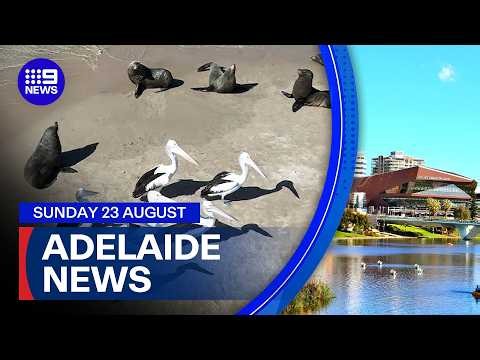 9News Adelaide | Sunday August 23 | Full Bulletin