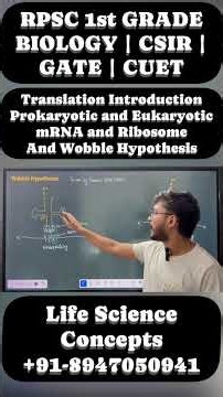 Translation Introduction | Prokaryotic & Eukaryotic mRNA, Ribosomes & Wobble Hypothesis | RPSC