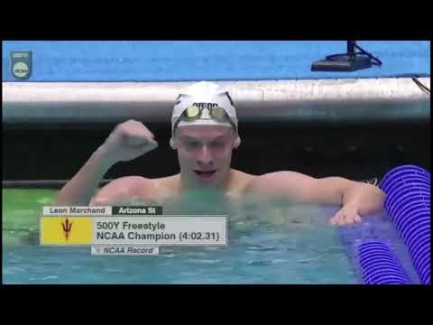 Léon Marchand atomise le Record NCAA du 500 yards petit bassin en 2024 #sports #natation #leon
