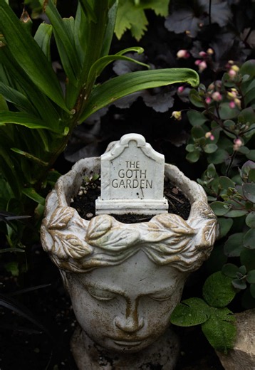 Romantic goth gardening Plants in order below 🖤 ♱ Black Delight Pansies ♱ Obsidian Heuchera ♱ Black Ship Lily ♱ Back in Black Sedum ♱ Garden Shot ♱ Netty’s Pride Lily ♱ NY Nights Hellebore ♱ Indian Silverberry Heuchera ♱ Crazytunia B&W ♱ Midnight Marvel Hibiscus ♱ New Zealand Flax ♱ Persian Shield ♱ Black Petunias ♱ Black Mondo Grass ♱ Kona Coffee Colocasia ♱ Tropicana Black Canna Lily ♱ Statue Coleus #thegothgarden #gothgarden #gothgardening #darknessinbloom