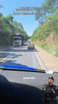 Drunk driver causing trouble