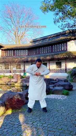 260117-YinJinJingThe Tail-Dropping Posture.