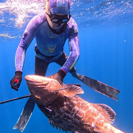 Is The Bahamas the World's Best Spearfishing Destination? | Ryan Myers Spearfishing
