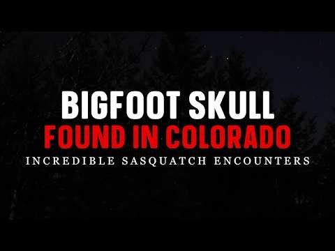 BIGFOOT SKULL FOUND IN COLORADO