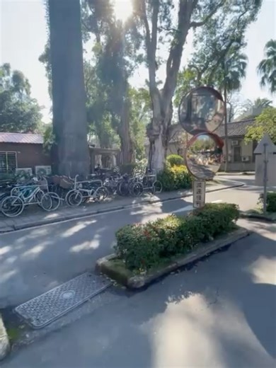 Koç University OIP on Instagram: "“I’m Buse, a senior undergraduate psychology and comparative literature student. In Spring 2025, I participated in a global exchange program in the foreign literature and languages ​​department at National Taiwan University. I took fascinating courses like American Musicals, Coming-of-age Novels, and Modern English Poetry. In my Beginner Chinese class, I became able to communicate in simple Chinese with locals. My favorite thing to do on campus was sit on a ben