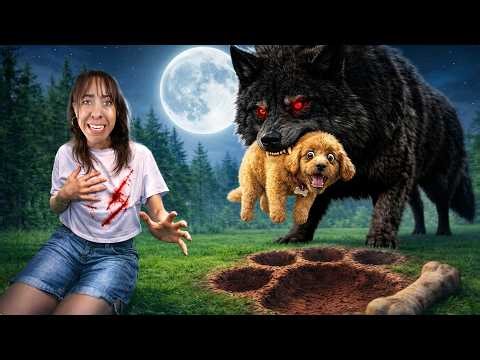 My Dog Was Attacked by a GIANT Wolf and We Didn’t Know if He’d survive! 