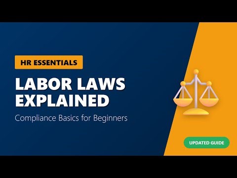 Labor Laws Explained: HR Compliance Basics for Beginners