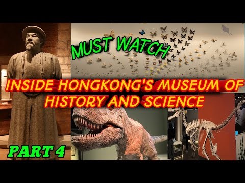 Deep dive into Honkong's museum#travel #explore #explore #hongkong #adventure #vlog #vlogger #vlogs
