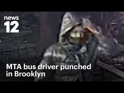 MTA bus driver punched during argument in Brooklyn; suspect at large | News 12