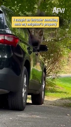 I caught an intruder sneaking onto my neighbor's property
