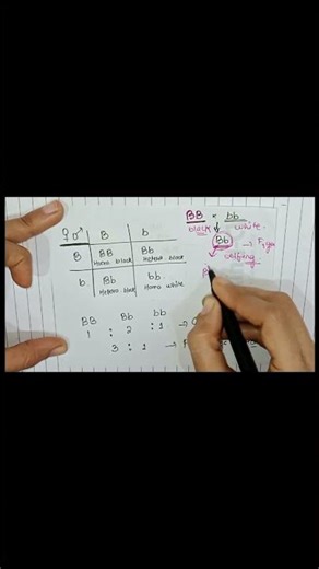 How to draw a Checkerboard (Punnett Square) in 1 Minute! #shorts #viral