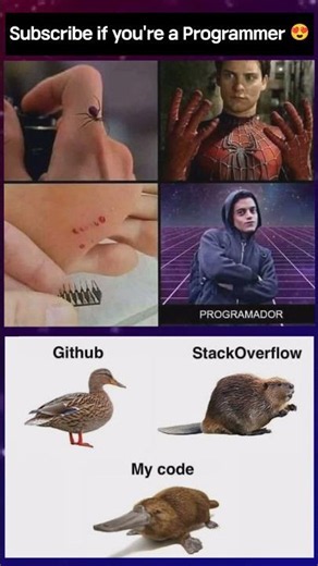 Software Engineer 😍😂||programming memes || coding memes #programming #developer #coding #memes #ai