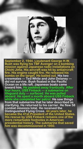 Shot Down, Friends Lost, Hunted by Cannibals: The Miraculous Survival of a Future President