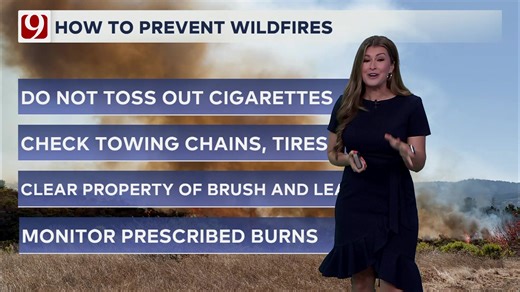 🔥 Oklahoma Wildfire Alert 🔥 Tuesday brings warm temps, low humidity, and 40–60 mph winds—perfect wildfire conditions, especially in western Oklahoma. 🌬️🌵 ➡️ Keep sparks away, avoid open flames, and stay cautious with equipment or outdoor fires. Gusts could hit 60 mph in the panhandle. Wednesday stays windy and dry with moderate to high fire danger. Plan ahead and stay safe! Details in the comments below ⬇️ | KWTV - NEWS 9