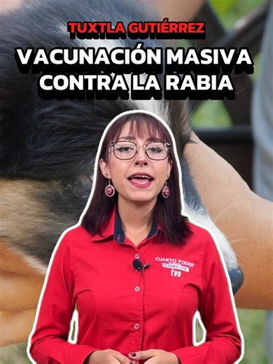 Las autoridades de Tuxtla Gutiérrez pondrán en marcha una campaña antirrábica, a fin de que las familias lleven a sus mascotas. La actividad se llevará a cabo en 35 puntos#TuDiarioVivir #CuartoPoderMx #Chiapas #México #NoticiaAlMomento