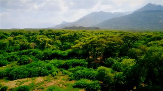Stunning Views of Sub-Saharan Africa (Gabon, Kenya, São Tomé and Principe, Namibia, and Angola) from Above