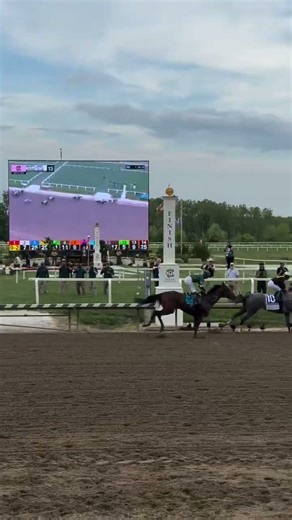 We have a Preakness winner!