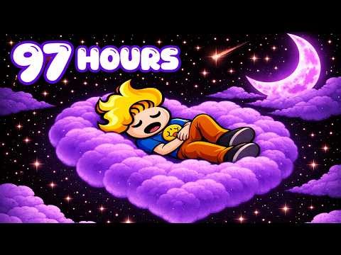 97 HOURS of Haminations Videos ( to Sleep To 🌙 )