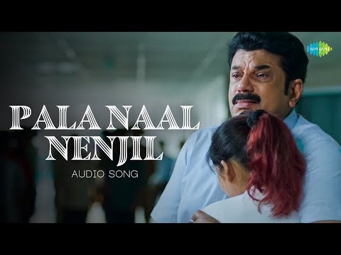 Pala Naal - Audio Song | Philip's | Hesham Abdul Wahab | Vineeth Sreenivasan | Alfred Kurian