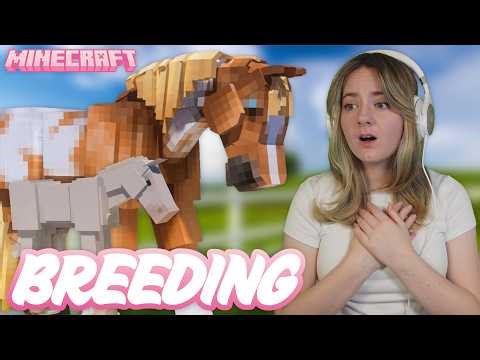 BUILDING MY REALISTIC HORSE BREEDING BARN - Minecraft | Pinehaven