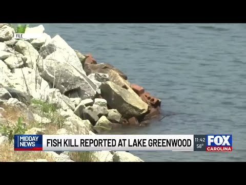 SCDNR investigating fish kill in Lake Greenwood