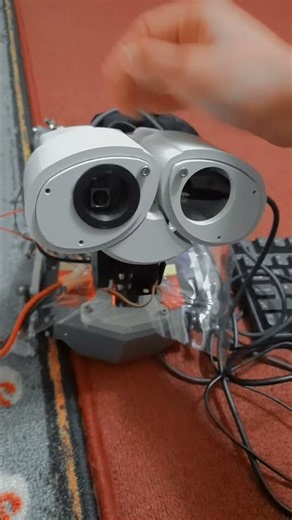 Controlling the servos and camera wired to my Raspberry Pi 5 with the thonny program.