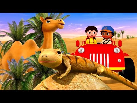 Going To The Desert 🌵☀️ Earth Day | Little Baby Bum