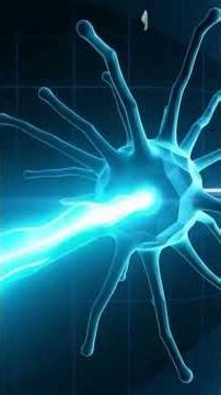 Neural Networks Explained: Can We Digitally Copy the Human Brain? | AI Fundamentals