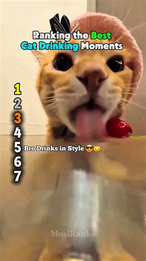 Ranking the Funniest Ways Cats Drink Water 😹💧#shorts #cat #drink ##water #ranking #viral
