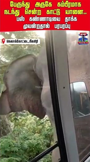 elephant | nilgris | Bus