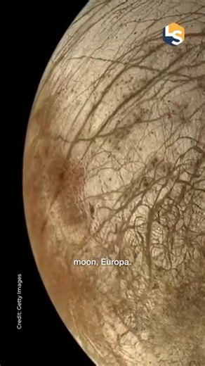 From Mars to Europa: Unraveling the Mystery of Planetary Spiders