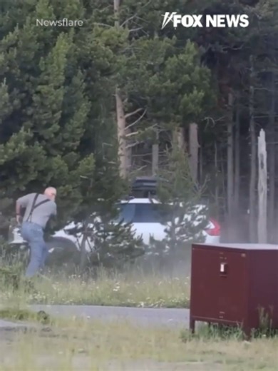 Yellowstone officials have decided the fate of the bison that launched a grandfather eight feet into the air. The bull that seriously injured Carl Isom-McDaniel in last week's viral attack will not be euthanized and will remain in the park. Officials said they are taking
