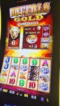 BUFFALO GOLD BONUS! 🎰🦬 8 FREE SPINS! Big Wins?! #shorts #slotmachine #vegas #slots