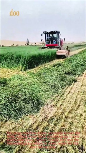 Forage Harvester, Fast Hay Cutting Farm Machine
