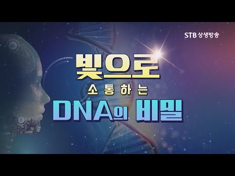 빛으로 소통하는 DNA의 비밀 #빛꽃수행 #증산도