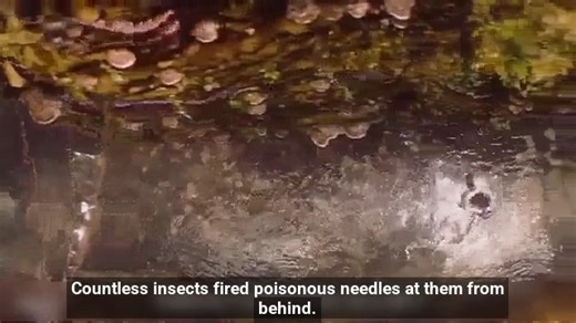 Could a handful of bugs be the key to surviving a monstrous alien world | Apóstol Carlos Diaz