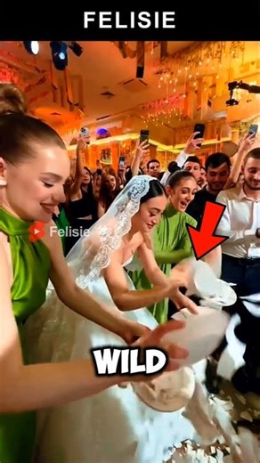 Why Does This Bride and Groom Smash Plates? Are They Crazy? 😱🍽️