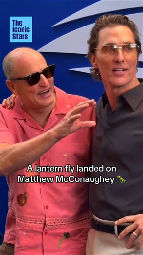 A Lantern Fly Landed On Matthew McConaughey #matthewmcconaughey
