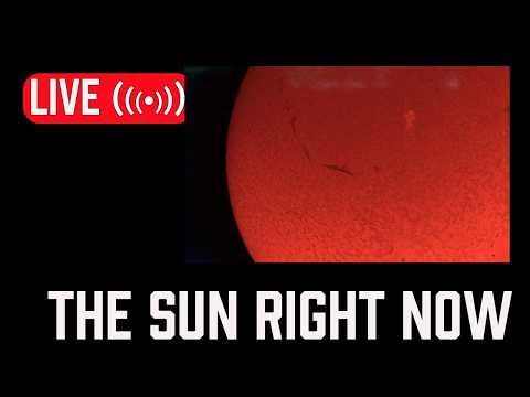 LIVE: The Sun Right Now ☀️ | Backyard Solar Imaging (Real-Time)