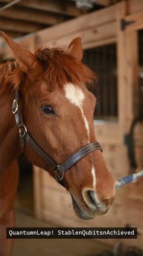 Quantum Leap! Stable Qubits Achieved