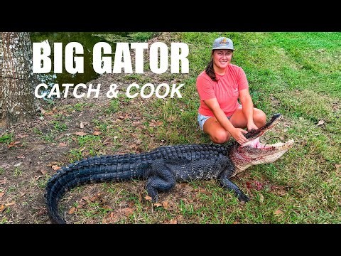 Hunting a BIG Alligator (Catch & Cook) 