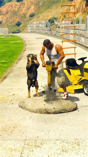 Franklin His Dogs Saving Little Spider | GTA V | #shorts #youtubeshorts #678
